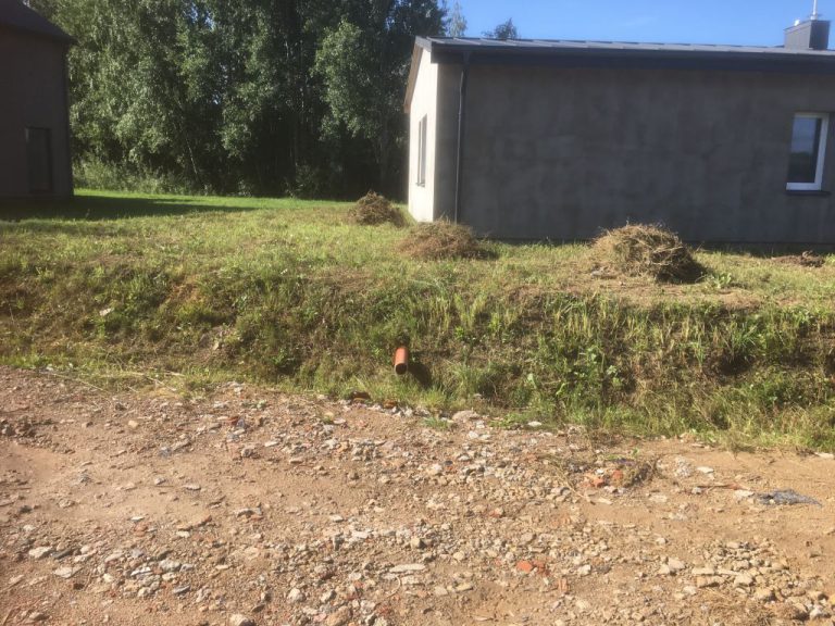 Vejos sėjimas, trinkelių klojimas ir nuogrindos įrengimas